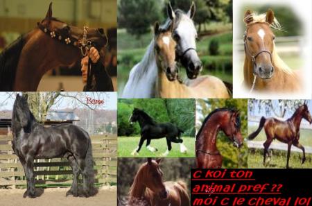 ChEvAl